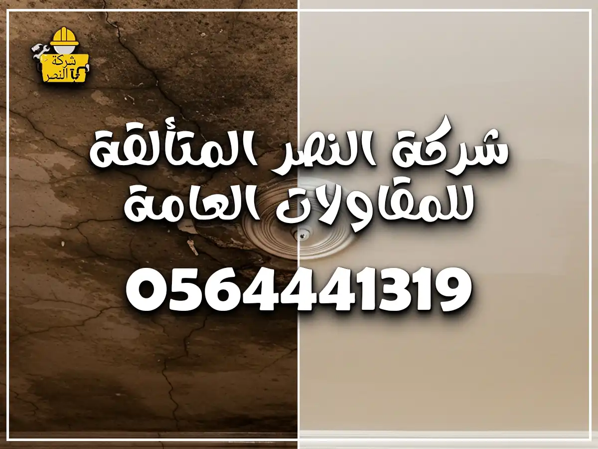 كشف تسربات الأسطح بالرياض